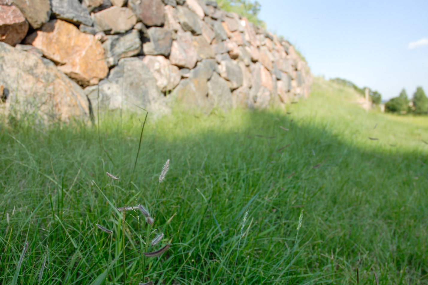 Patio Home Curb Appeal